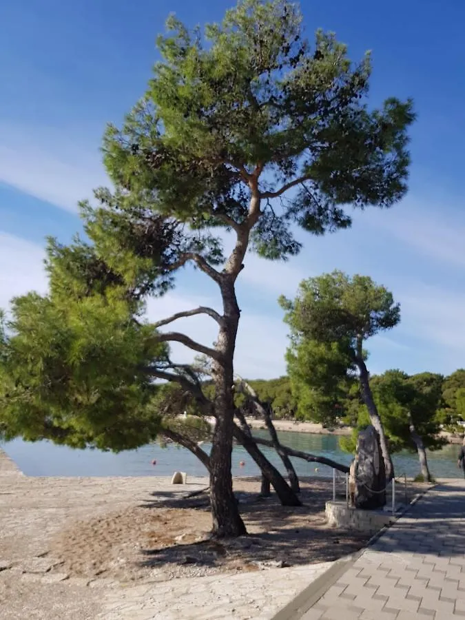 Holiday home Sweethome Biograd Na Moru Croatia